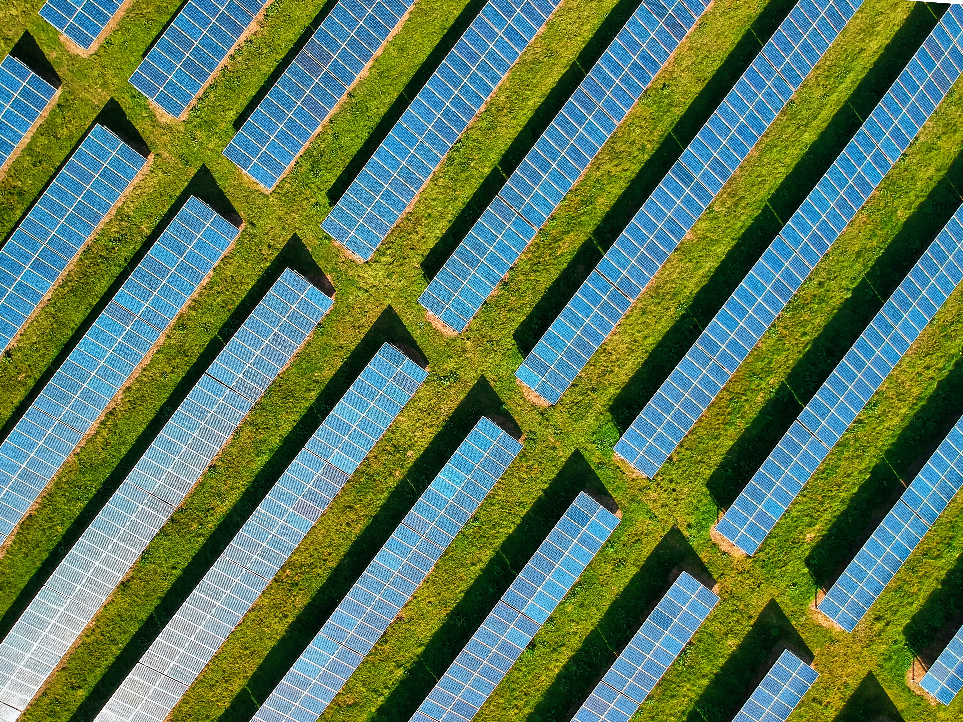 Feld von Solarplatten aus der Vogelperspektive 