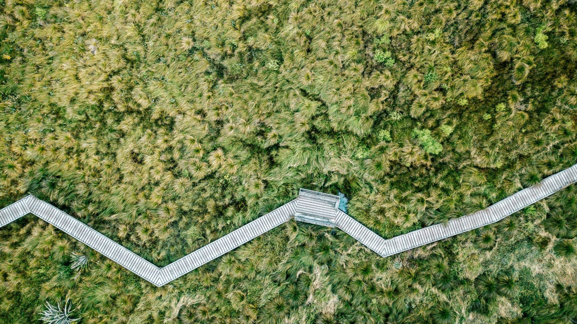 Pfad im Grünen bei Queenstown aus der Vogelperspektive