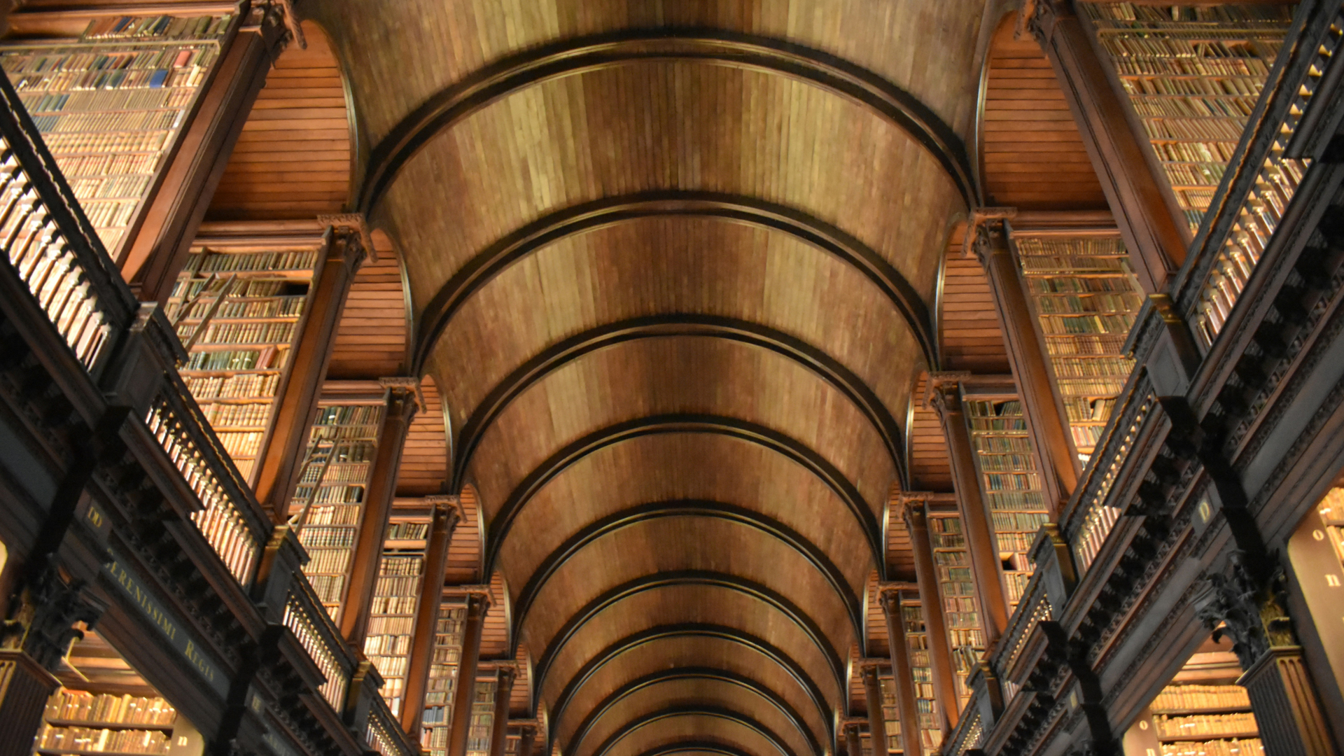 riesige Bibliothek mit sehr hohen gebogenen Decke und vielen Regalen, gefüllt mit Büchern. 