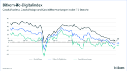 Januar 2025: Bitkom-ifo-Digitalindex