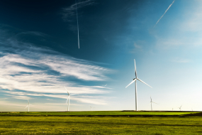 Windräder auf grünem Feld