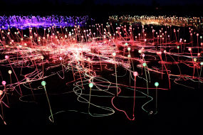 Eine großflächige Lichtinstallation in einer dunklen Landschaft zeigt zahlreiche dünne, biegsame Stäbe, an deren Spitzen leuchtende Kugeln in verschiedenen Farben befestigt sind. Die Kugeln strahlen in Rot, Grün, Gelb und Violett. Durch die Langzeitbelichtung entstehen leuchtende, geschwungene Linien, die sich über den Boden ziehen und die Lichtquellen miteinander zu verbinden scheinen. Im Hintergrund sind weitere Lichtpunkte zu sehen, die in die Dunkelheit übergehen.