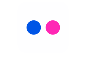 Logo Flickr