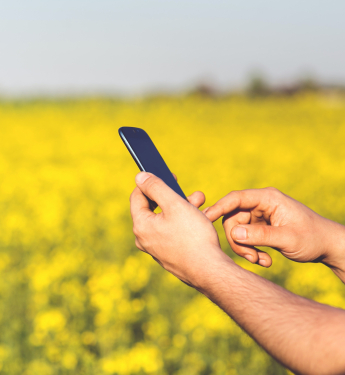 Smartphonenutzer im Feld