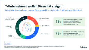 Grafik: Diversität in Unternehmen
