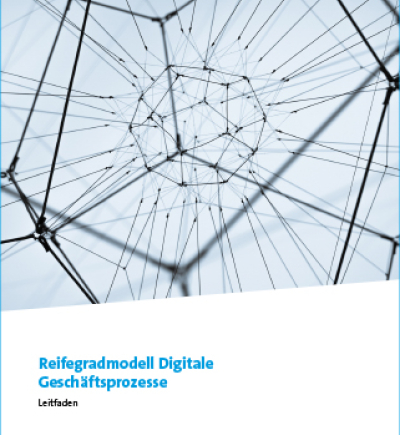 Mockup Publikation Reifegradmodell Digitale Geschäftsprozesse